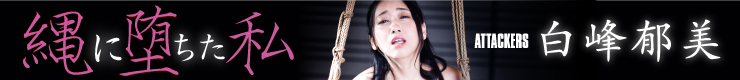 Mmaker_banner
